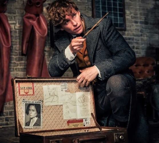 Ура! Смотрим первый трейлер «Фантастические твари: Секреты Дамблдора»