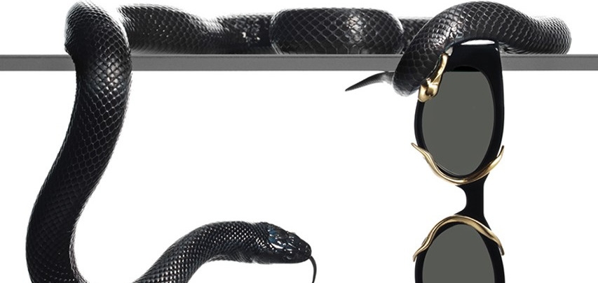 Заклинательницы змей: Gentle Monster и Alexander Wang представили просто фантастические модели очков